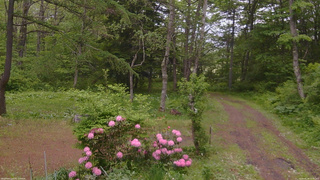 長野県菅平高原 ゆたか山荘 坂上 2026/05/28 15:30