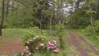 長野県菅平高原 ゆたか山荘 坂上 2026/05/28 15:45