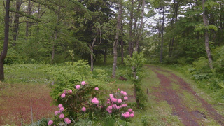 長野県菅平高原 ゆたか山荘 坂上 2026/05/28 16:15