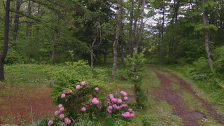 長野県菅平高原 ゆたか山荘 坂上 2026/05/28 16:30