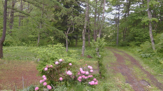 長野県菅平高原 ゆたか山荘 坂上 2026/05/28 16:45