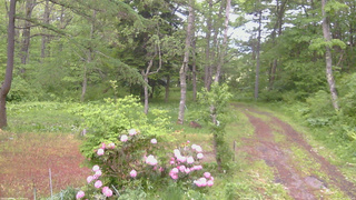 長野県菅平高原 ゆたか山荘 坂上 2026/05/28 17:30