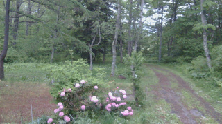 長野県菅平高原 ゆたか山荘 坂上 2026/05/28 18:45