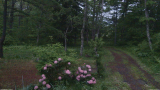 長野県菅平高原 ゆたか山荘 坂上 2026/05/28 19:00