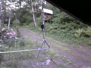 長野県菅平高原 ゆたか山荘 南側 2026/05/29 18:45