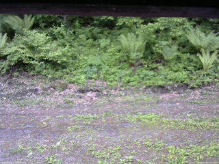 長野県菅平高原 ゆたか山荘 東側(坂下) 2026/05/29 12:30