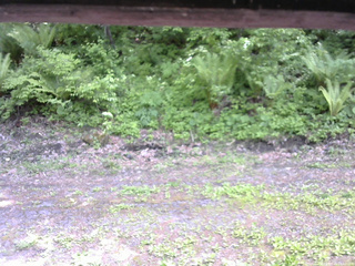長野県菅平高原 ゆたか山荘 東側(坂下) 2026/05/29 13:30