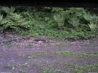 長野県菅平高原 ゆたか山荘 東側(坂下) 2026/05/29 19:00