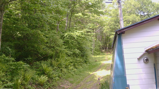 長野県菅平高原 ゆたか山荘 ゆたか山荘 2026/05/29 10:45