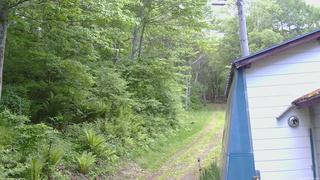 長野県菅平高原 ゆたか山荘 ゆたか山荘 2026/05/29 13:00