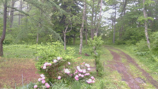 長野県菅平高原 ゆたか山荘 坂上 2026/05/29 06:30