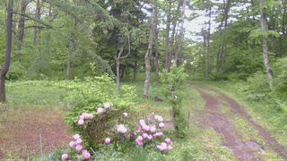 長野県菅平高原 ゆたか山荘 坂上 2026/05/29 07:15