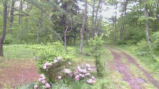 長野県菅平高原 ゆたか山荘 坂上 2026/05/29 07:30