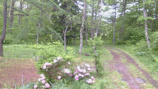 長野県菅平高原 ゆたか山荘 坂上 2026/05/29 08:00