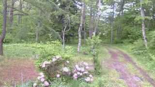 長野県菅平高原 ゆたか山荘 坂上 2026/05/29 08:15