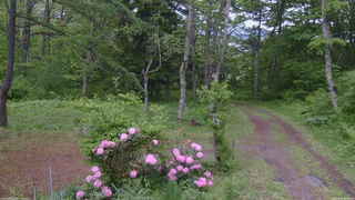 長野県菅平高原 ゆたか山荘 坂上 2026/05/29 08:45