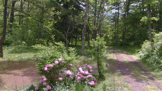 長野県菅平高原 ゆたか山荘 坂上 2026/05/29 09:45
