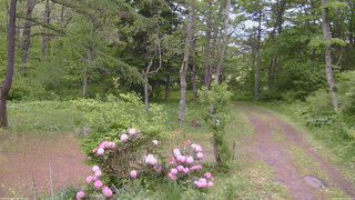 長野県菅平高原 ゆたか山荘 坂上 2026/05/29 11:15