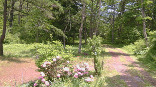 長野県菅平高原 ゆたか山荘 坂上 2026/05/29 11:45