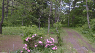 長野県菅平高原 ゆたか山荘 坂上 2026/05/29 12:00