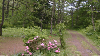 長野県菅平高原 ゆたか山荘 坂上 2026/05/29 12:45