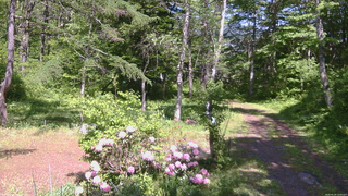 長野県菅平高原 ゆたか山荘 坂上 2026/05/29 13:45