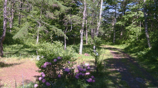 長野県菅平高原 ゆたか山荘 坂上 2026/05/29 14:15
