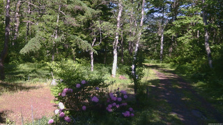 長野県菅平高原 ゆたか山荘 坂上 2026/05/29 14:45