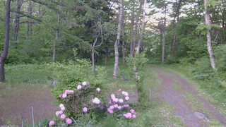 長野県菅平高原 ゆたか山荘 坂上 2026/05/29 18:45