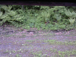 長野県菅平高原 ゆたか山荘 東側(坂下) 2026/05/30 05:00