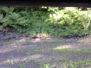 長野県菅平高原 ゆたか山荘 東側(坂下) 2026/05/30 06:00