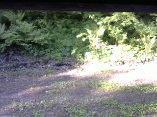 長野県菅平高原 ゆたか山荘 東側(坂下) 2026/05/30 06:15