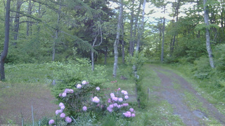 長野県菅平高原 ゆたか山荘 坂上 2026/05/30 05:00
