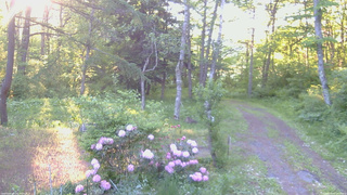 長野県菅平高原 ゆたか山荘 坂上 2026/05/30 05:15