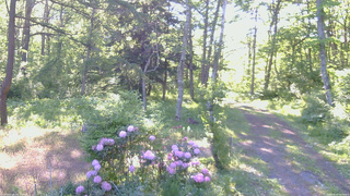 長野県菅平高原 ゆたか山荘 坂上 2026/05/30 06:15