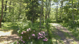 長野県菅平高原 ゆたか山荘 坂上 2026/05/30 08:00