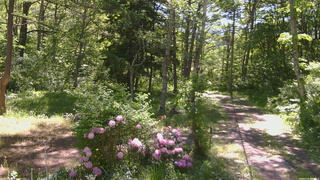 長野県菅平高原 ゆたか山荘 坂上 2026/05/30 08:45