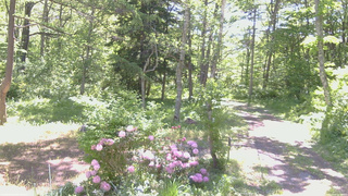 長野県菅平高原 ゆたか山荘 坂上 2026/05/30 09:00