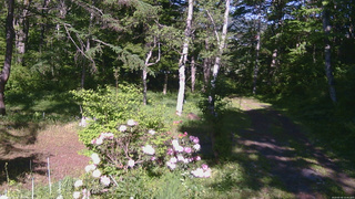 長野県菅平高原 ゆたか山荘 坂上 2026/05/30 15:45