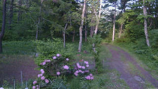 長野県菅平高原 ゆたか山荘 坂上 2026/05/30 17:30