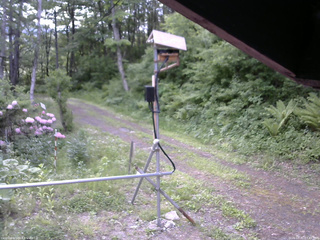 長野県菅平高原 ゆたか山荘 南側 2026/05/31 07:45