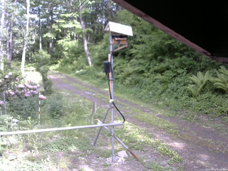 長野県菅平高原 ゆたか山荘 南側 2026/05/31 14:30