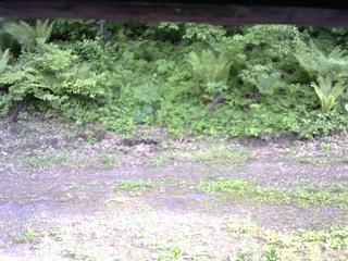 長野県菅平高原 ゆたか山荘 東側(坂下) 2026/05/31 16:15