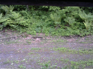 長野県菅平高原 ゆたか山荘 東側(坂下) 2026/05/31 18:45