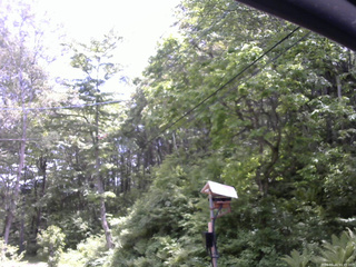 長野県菅平高原 ゆたか山荘 温度計 2026/05/31 11:45