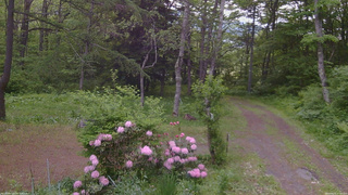 長野県菅平高原 ゆたか山荘 坂上 2026/05/31 07:00