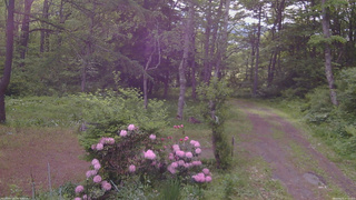 長野県菅平高原 ゆたか山荘 坂上 2026/05/31 07:15