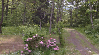 長野県菅平高原 ゆたか山荘 坂上 2026/05/31 08:00