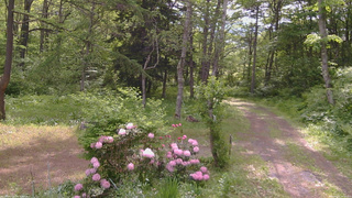 長野県菅平高原 ゆたか山荘 坂上 2026/05/31 08:30