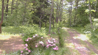 長野県菅平高原 ゆたか山荘 坂上 2026/05/31 08:45